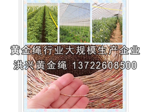 壓膜繩安裝大棚卷簾機前需做的準(zhǔn)備